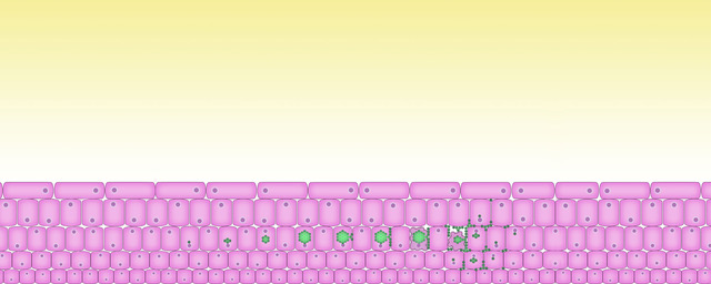 cells dormant in cell walls wake up and spread infection